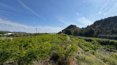 Se vende Finca de 12 has regadío frutales y construcciones., immagine 3