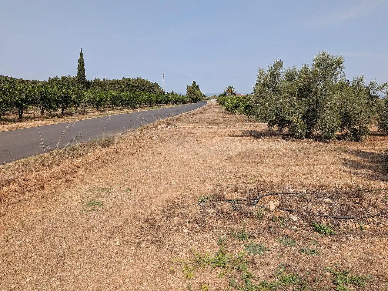 Finca rústica en venda en Vinaròs amb Terrassa i Piscina