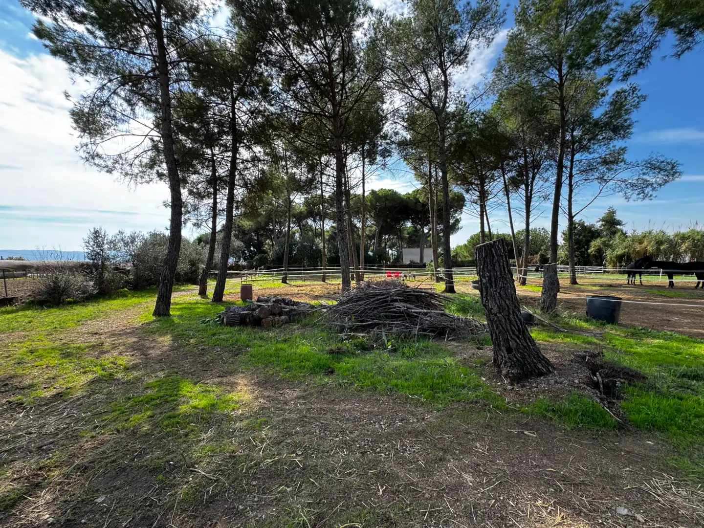 Casa con piscina en venta en Cànoves I Samalús, imagen 79