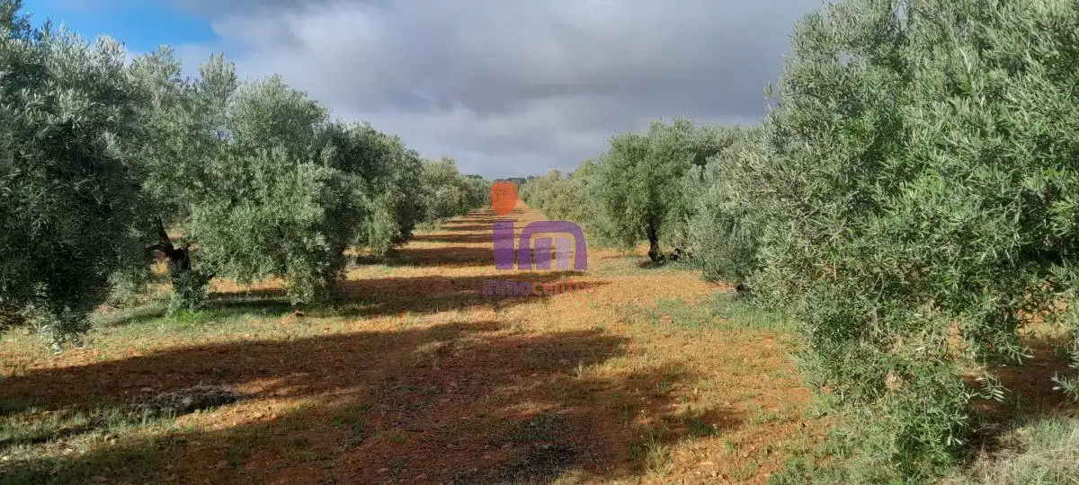 Casa rústica en venda a Valdepeñas, imagen 5