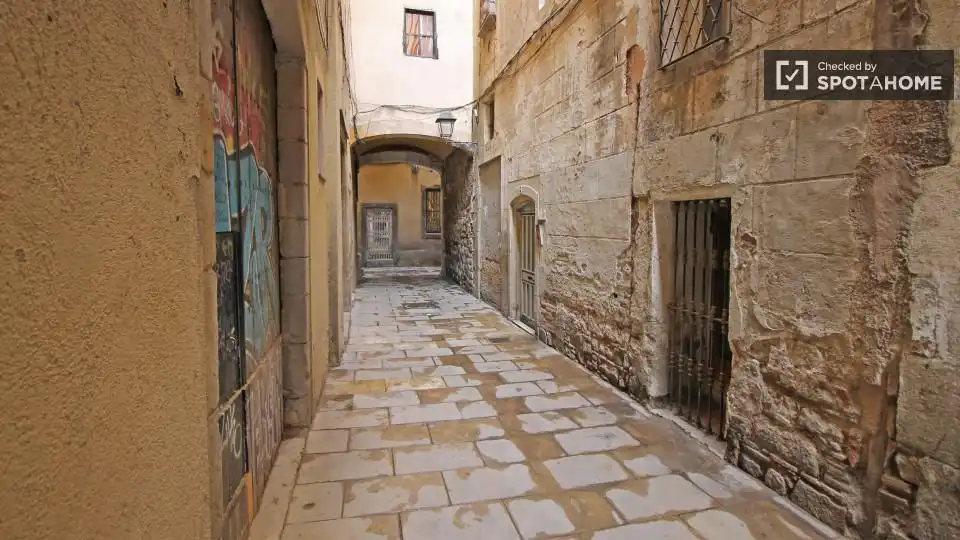 Piso con terraza en alquiler en Ciutat Vella, imagen 18