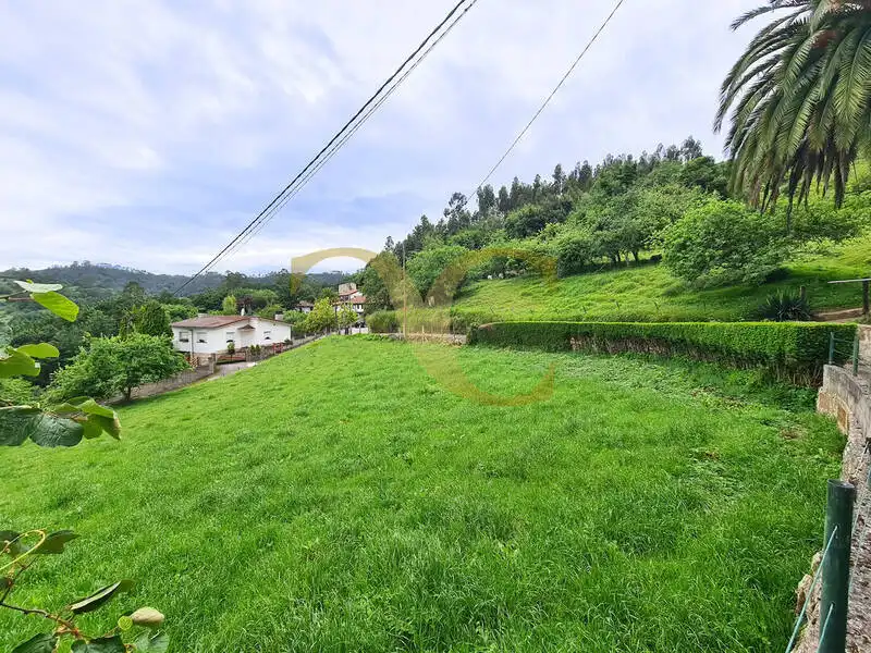 Terreno rustico in vendita a Niao, imagen 10
