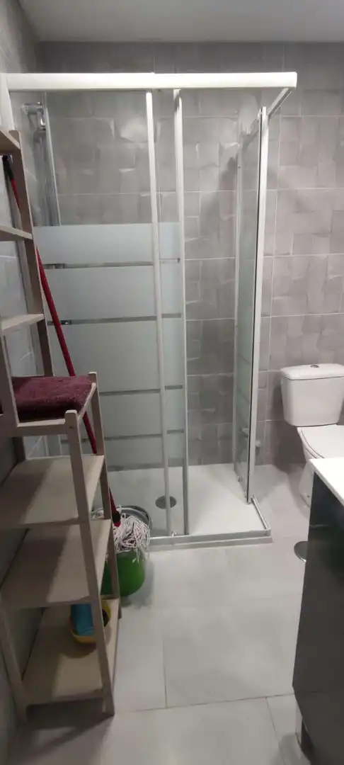 Bathroom of Study for rent in Torremolinos  with Furnished and Pets allowed