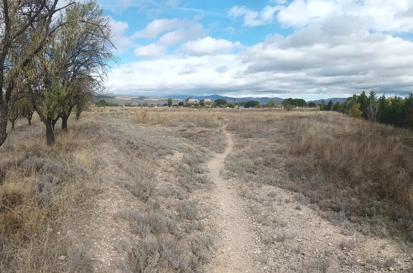 Terrenys i solars en venda a Paraje Campillo, imagen 5