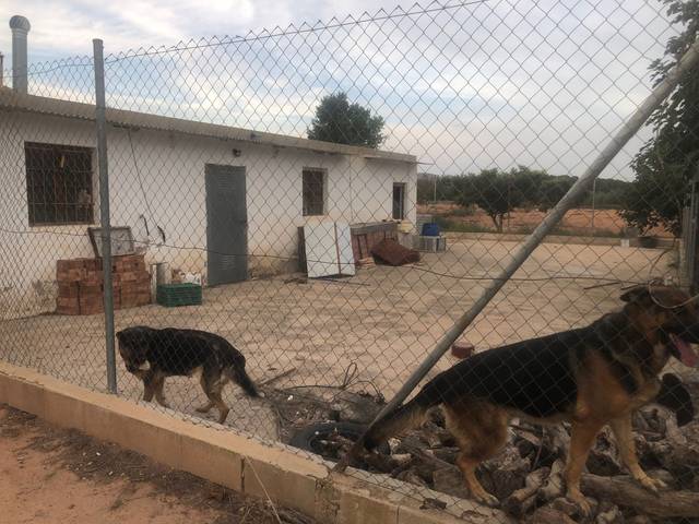 Finca rústica en Venta en Hellín