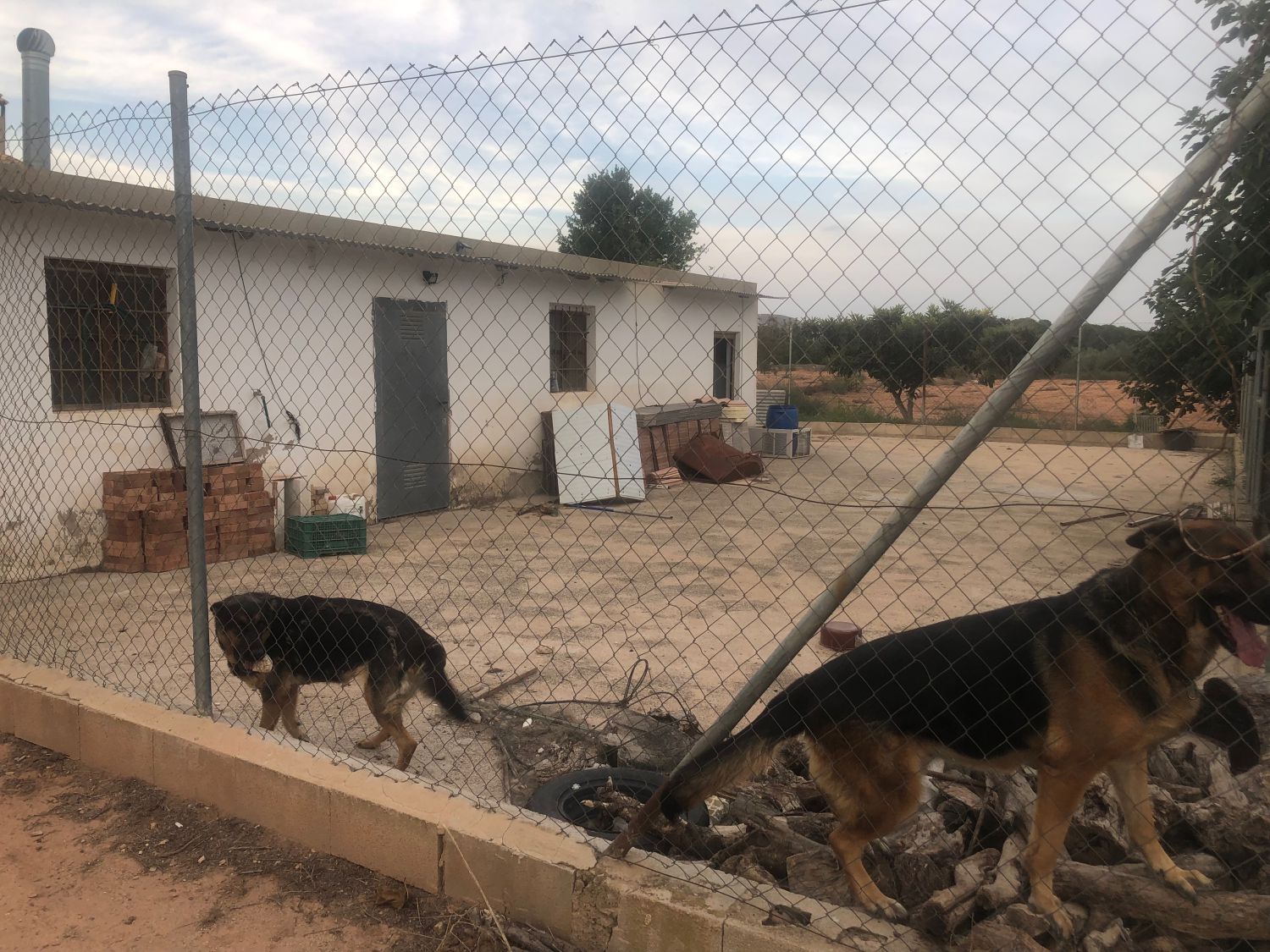 Vista exterior de Finca rústica en venta en Hellín