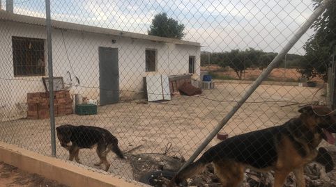 Finca Rúst. en venta en Hellín.