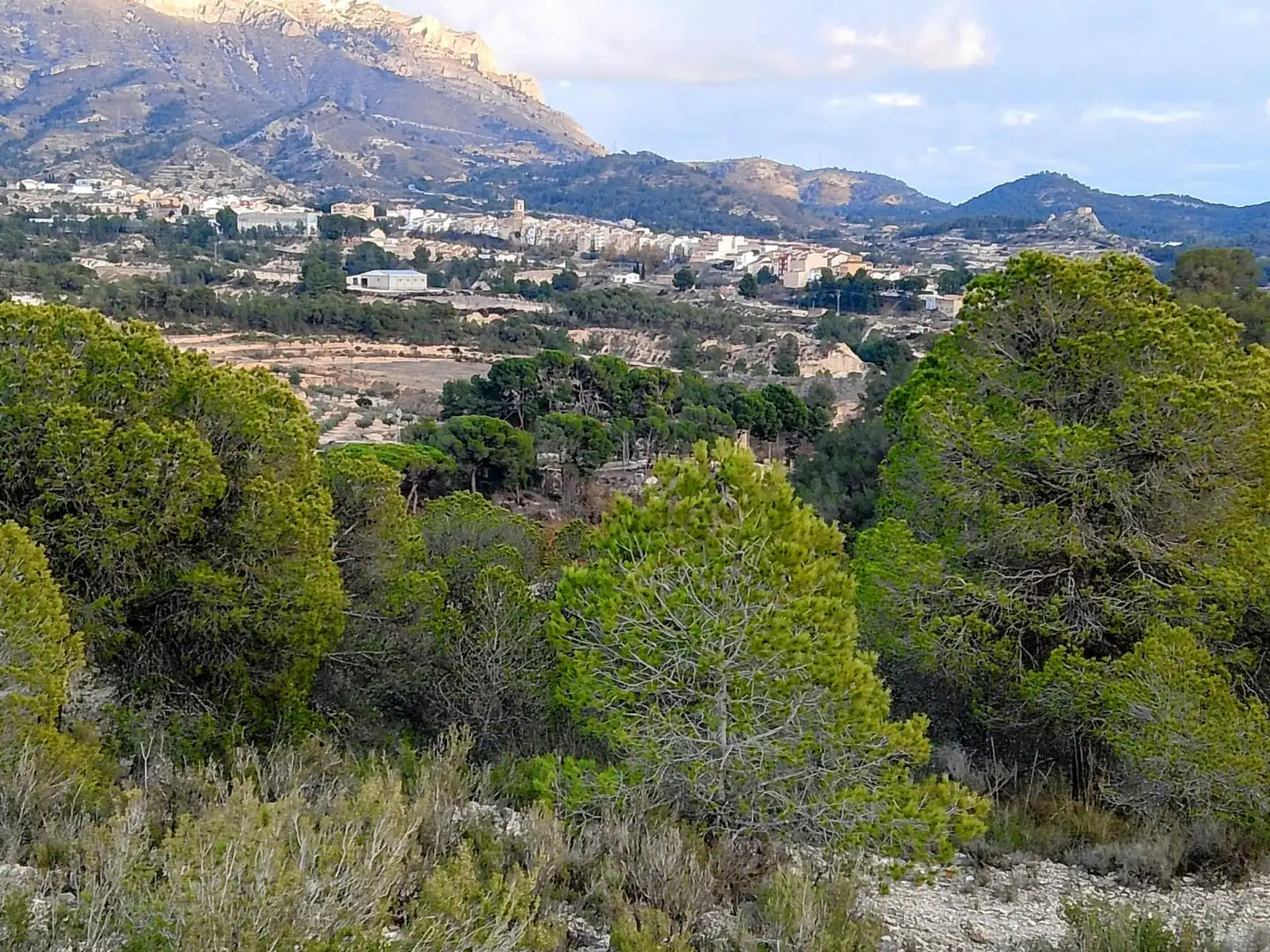 Terreno rustico in vendita a N/A, imagen 14