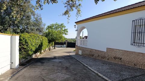 Foto 3 de Casa o chalet de alquiler en Castilblanco de los Arroyos, Sevilla