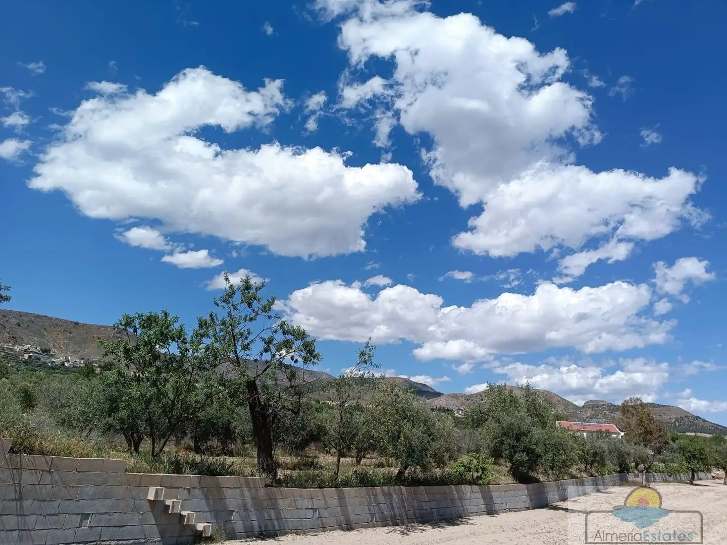 Villa in vendita a Oria, imagen 4