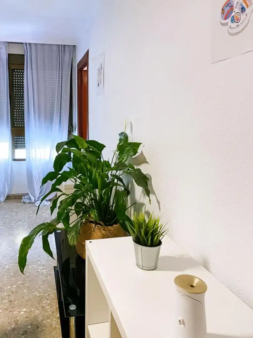 Apartament de lloguer a L'Illa Perduda
