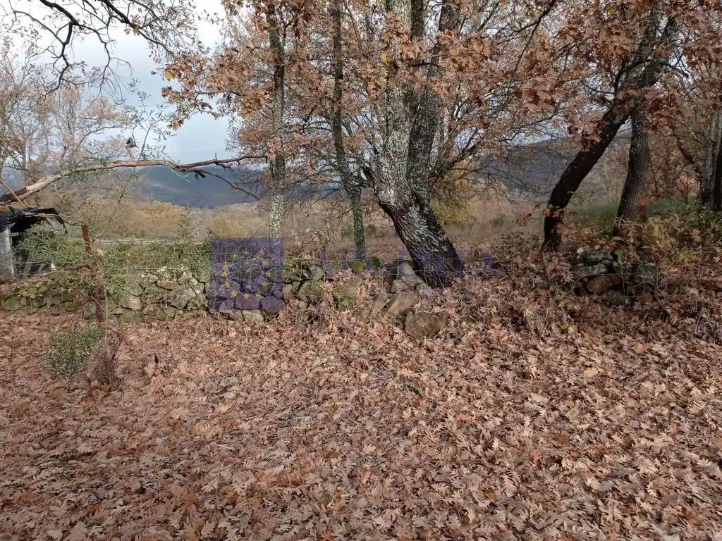 Haus zum Verkauf in Jarandilla de la Vera, imagen 12