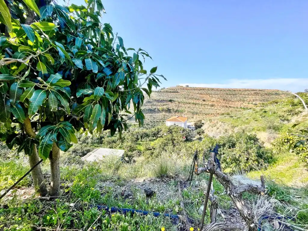 Casa rústica amb jardí en venda a Vélez-Málaga ciudad, imagen 32