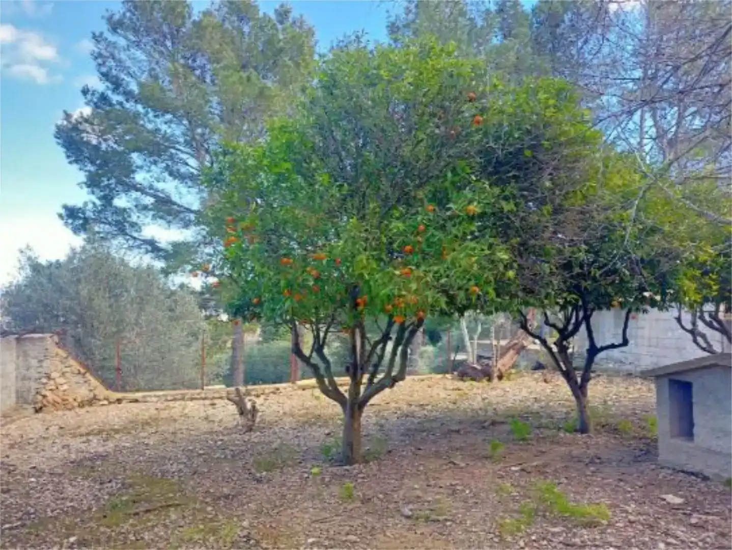 Jardín de Piso en venta en Campanet con Jardín privado, Trastero y Piscina
