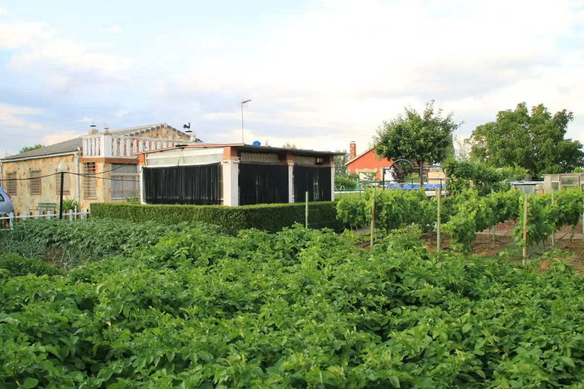 Jardín de Casa o chalet en venta en Grijota con Calefacción, Terraza y Piscina