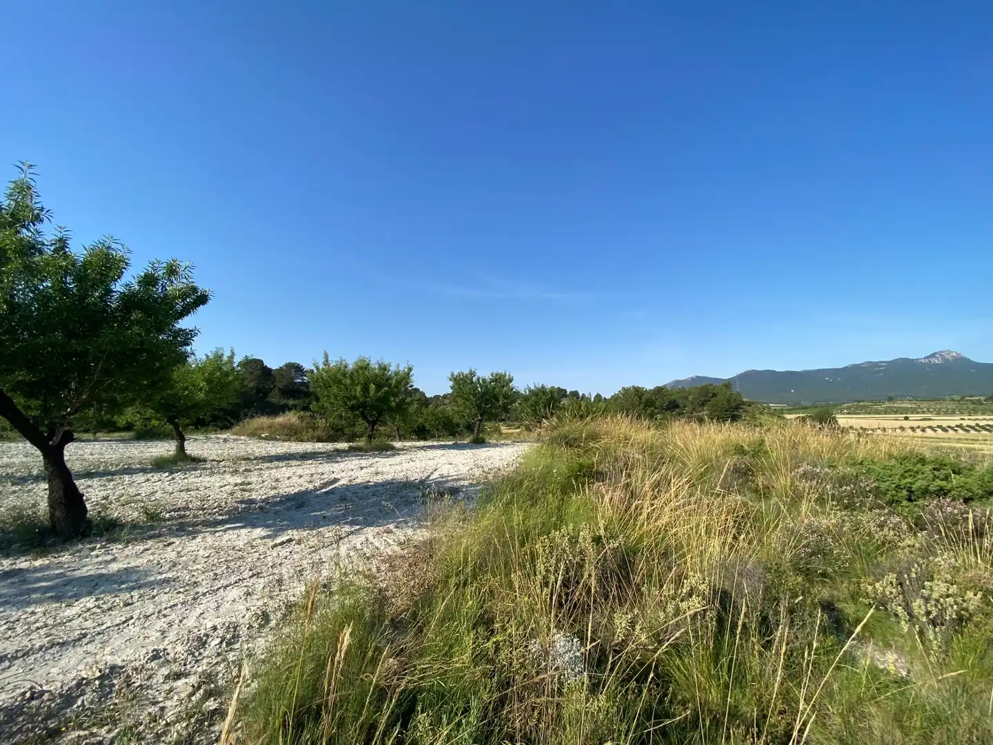 Villa à vendre à Moratalla, imagen 81