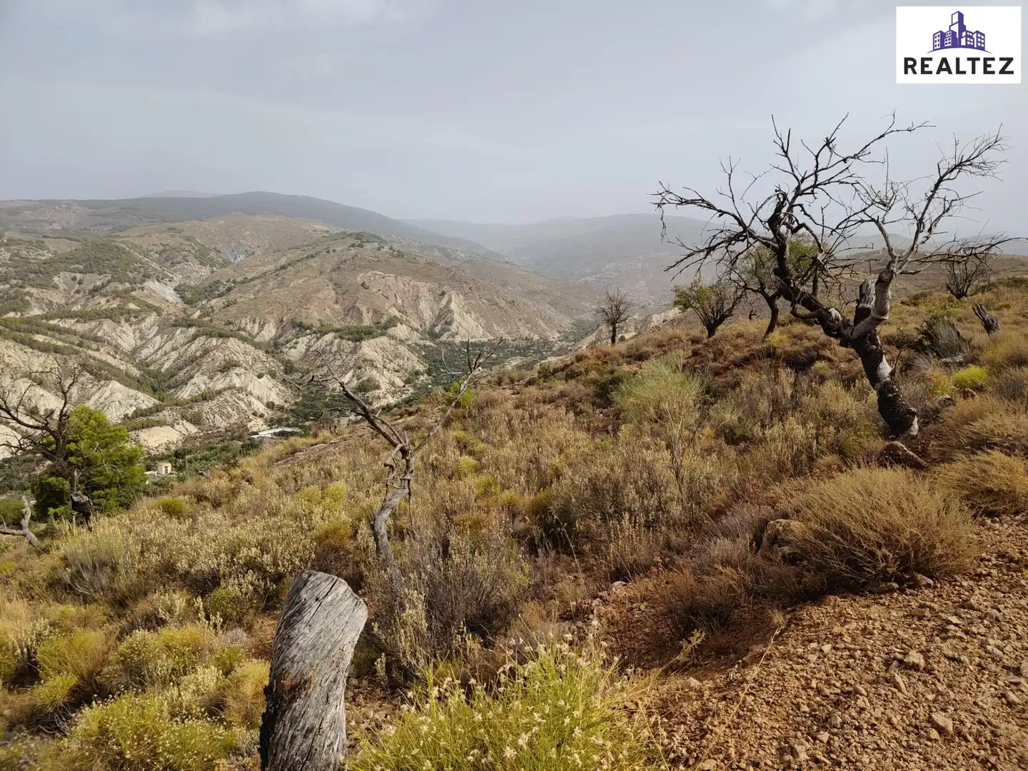 Terrain rustique à vendre à Alcolea, imagen 5