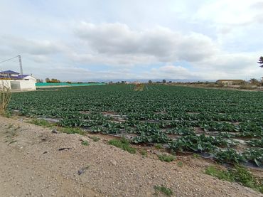 Residential land for sale in Puerto Lumbreras