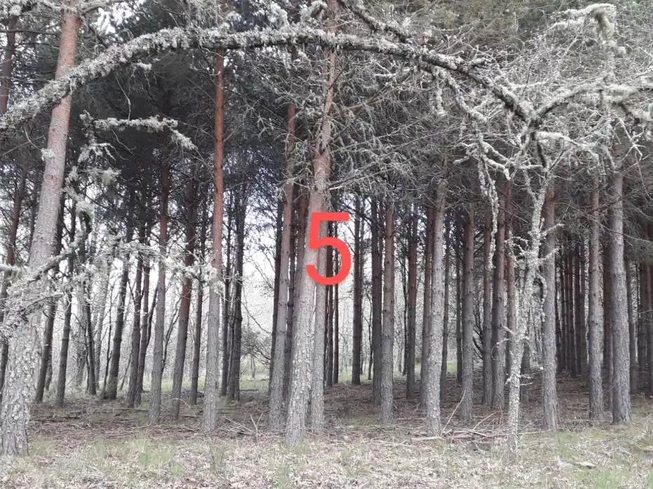 Terreno en venta en Nava de Francia