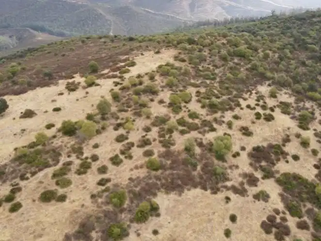 Terreno en venta en Zalamea la Real