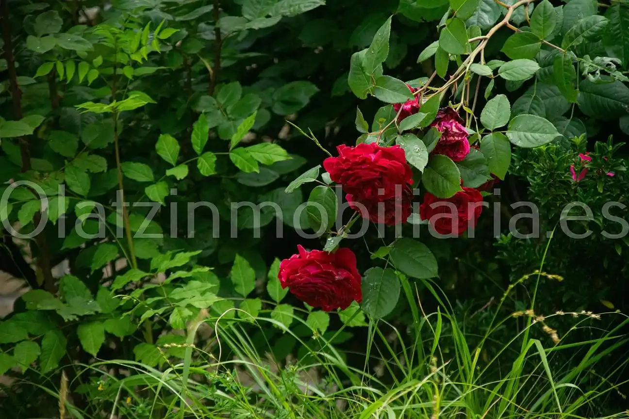 Garden of Country homes for sale in Sopuerta
