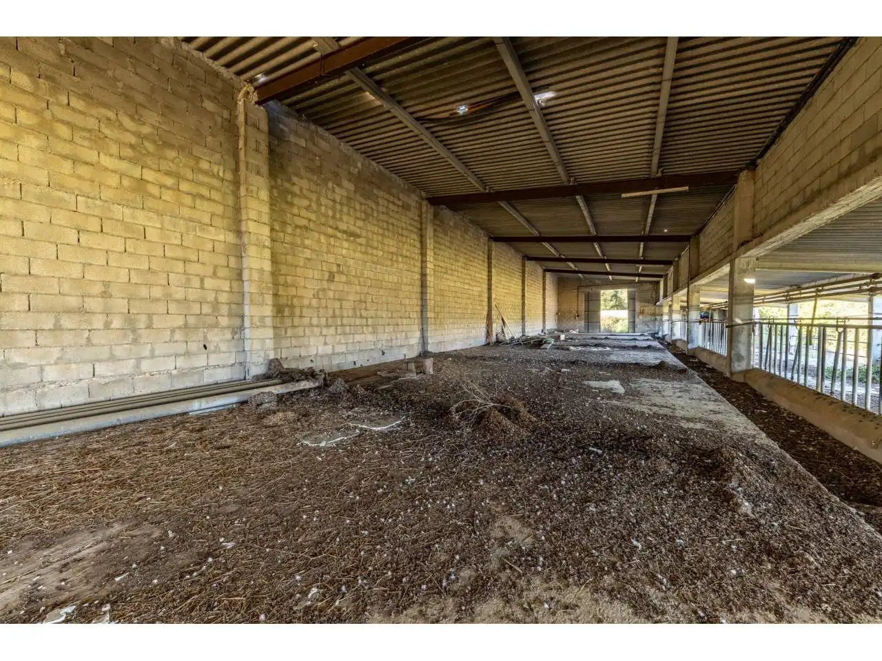 Terreno rustico in vendita a Llucmajor pueblo, imagen 63
