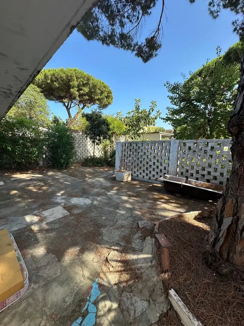 Jardín de Casa o chalet en venta en Algeciras