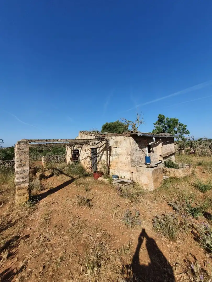 Vista exterior de Finca rústica en venda en Santa Margalida