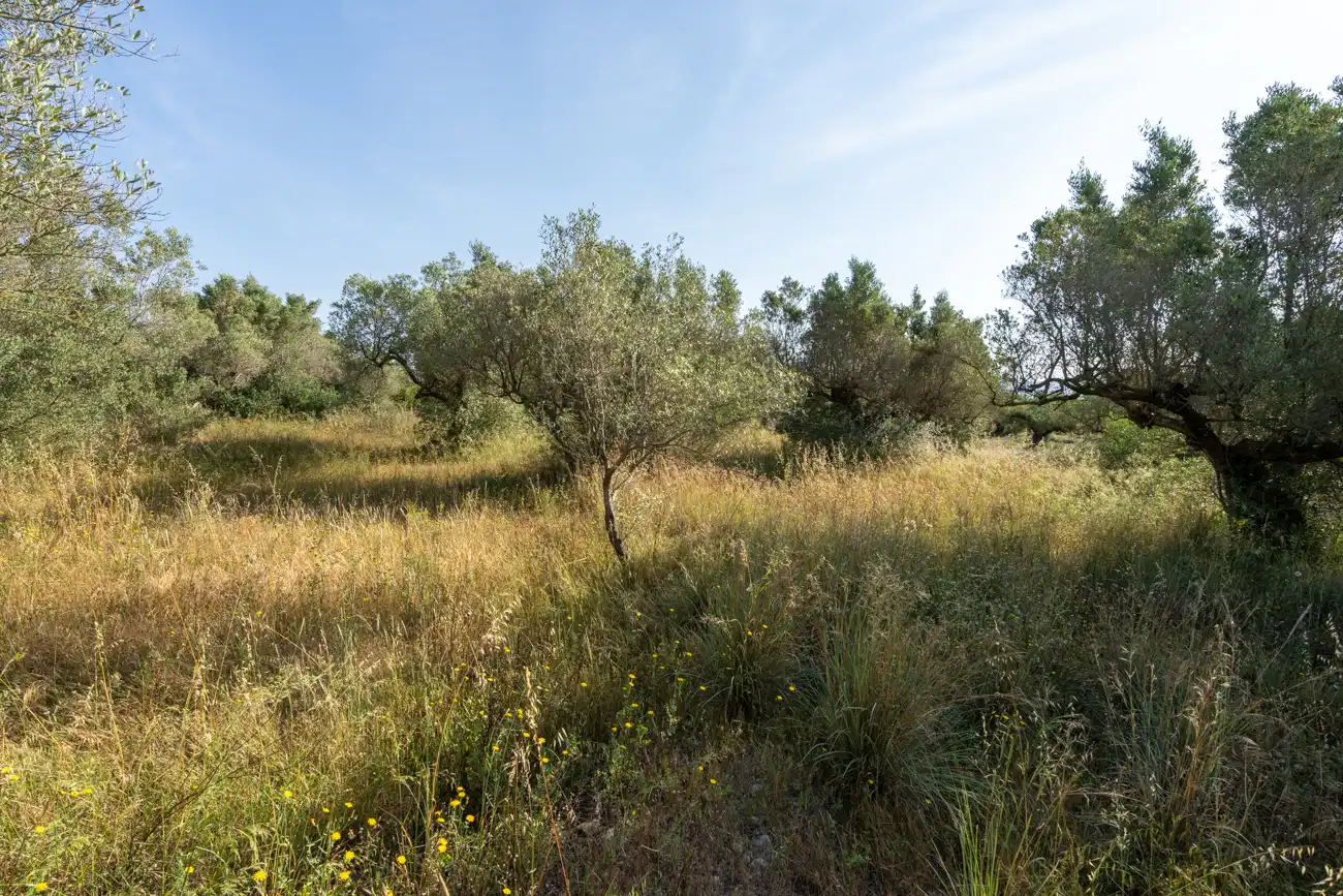 Terreno en venta en Aldover