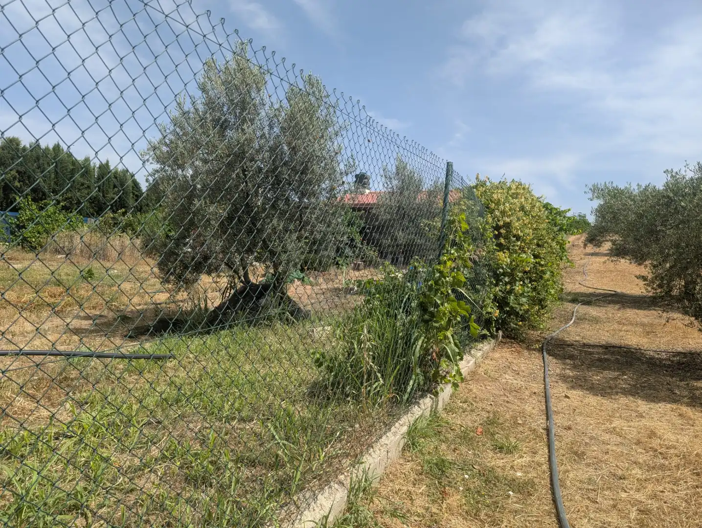 Casa rústica en venda a Alcaudete, imagen 8