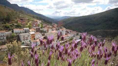 Photo 2 of Flat for sale in Ladrillar, Cáceres