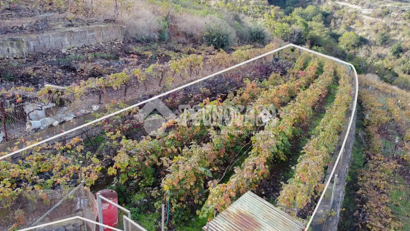 Terreno rústico en venta en La Vera - El Farrobillo - Tosca de Ana María, imagen 7