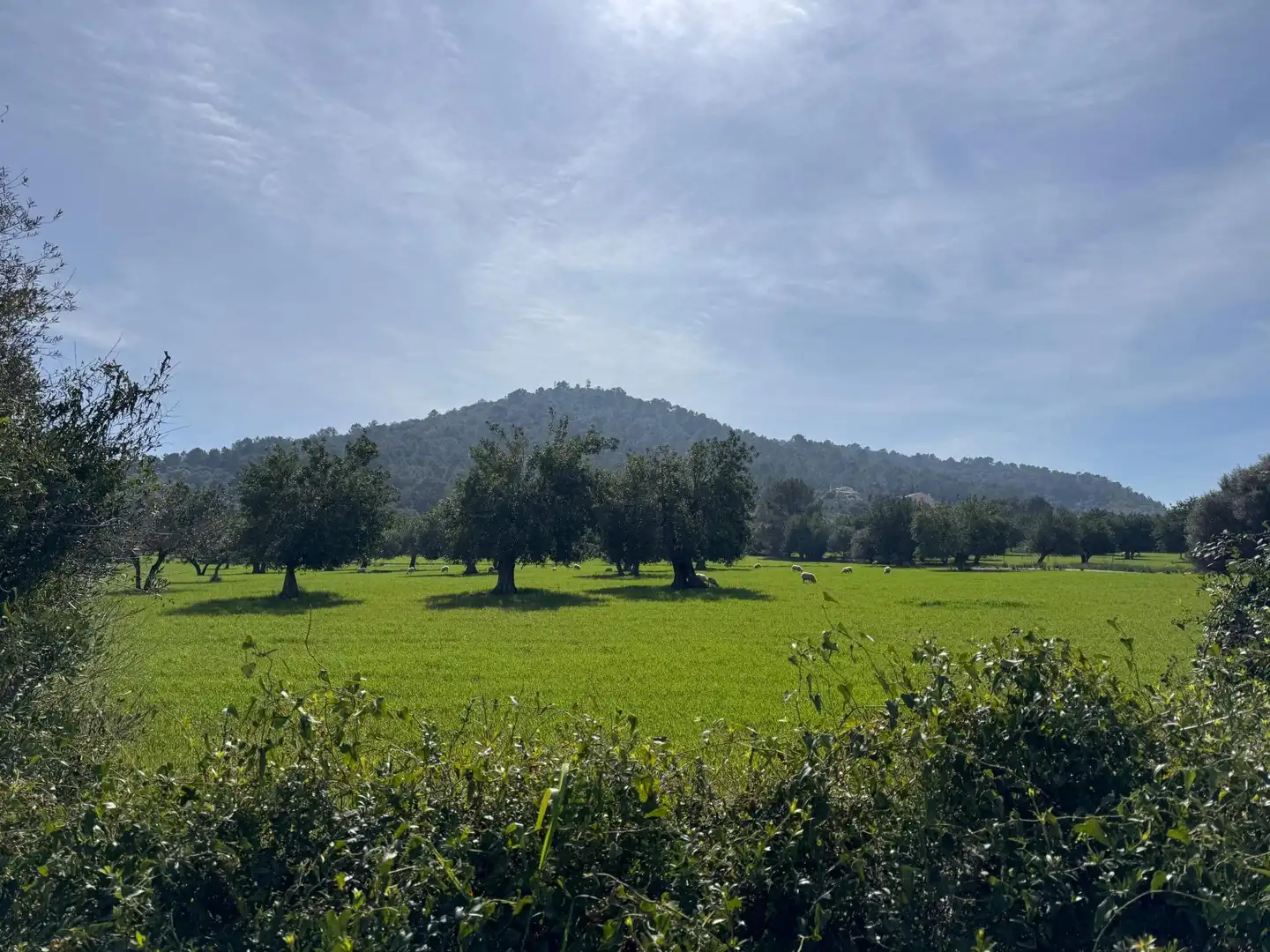Terreno residenziale in vendita a Camino Selva, imagen 30