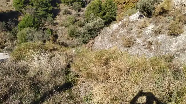 Land for sale in Nerja