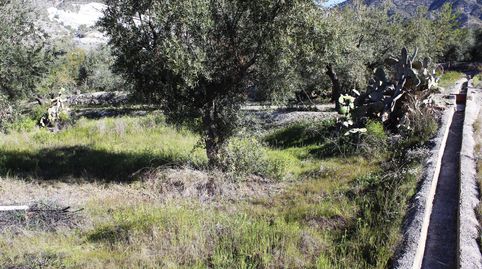 FINCA RÚSTICA DE 568 M2 EN EL ROMERAL