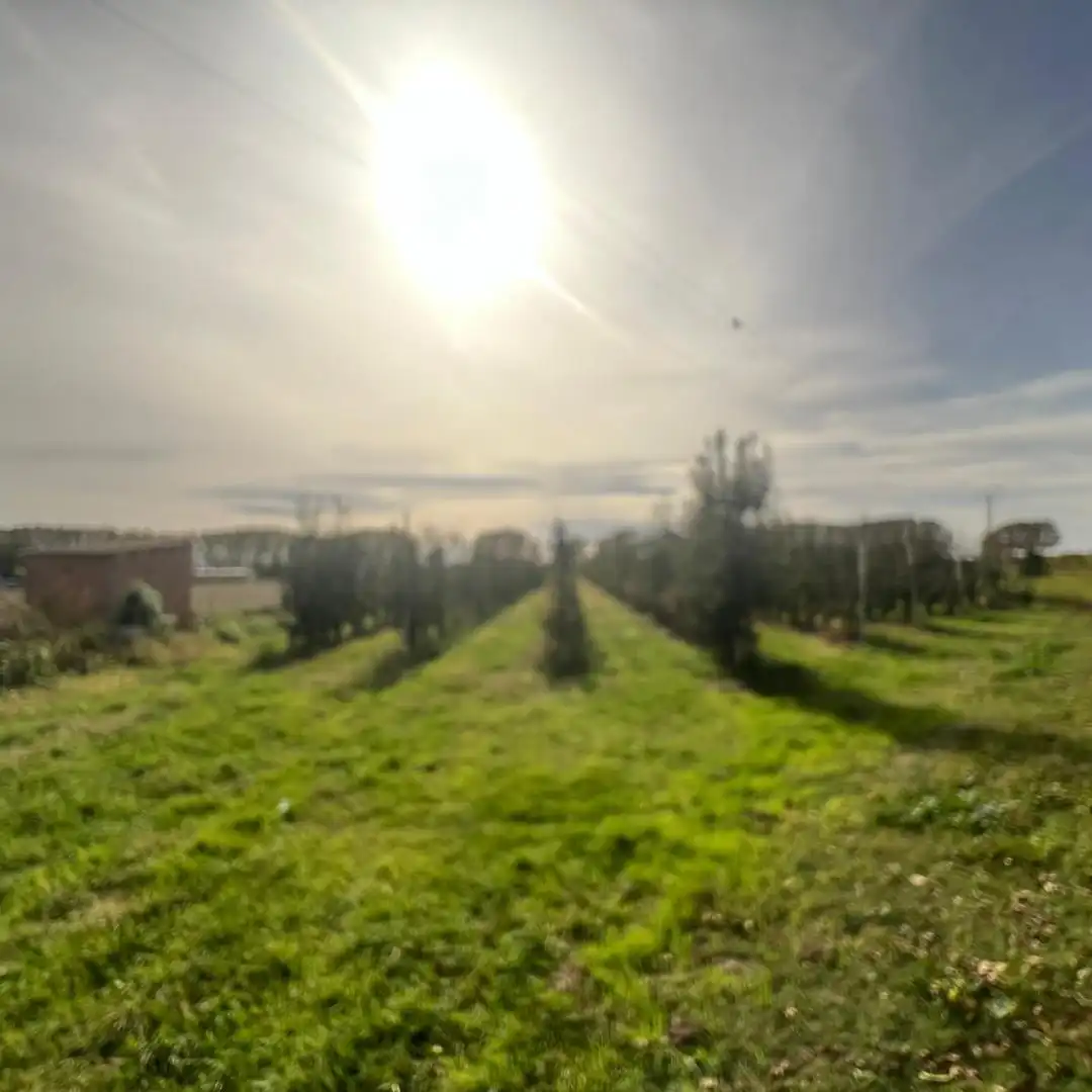 Terrenos y solares en venta en Camino 78