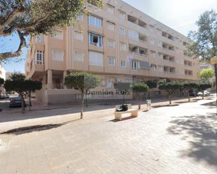 Exterior view of Study for sale in Guardamar del Segura  with Terrace