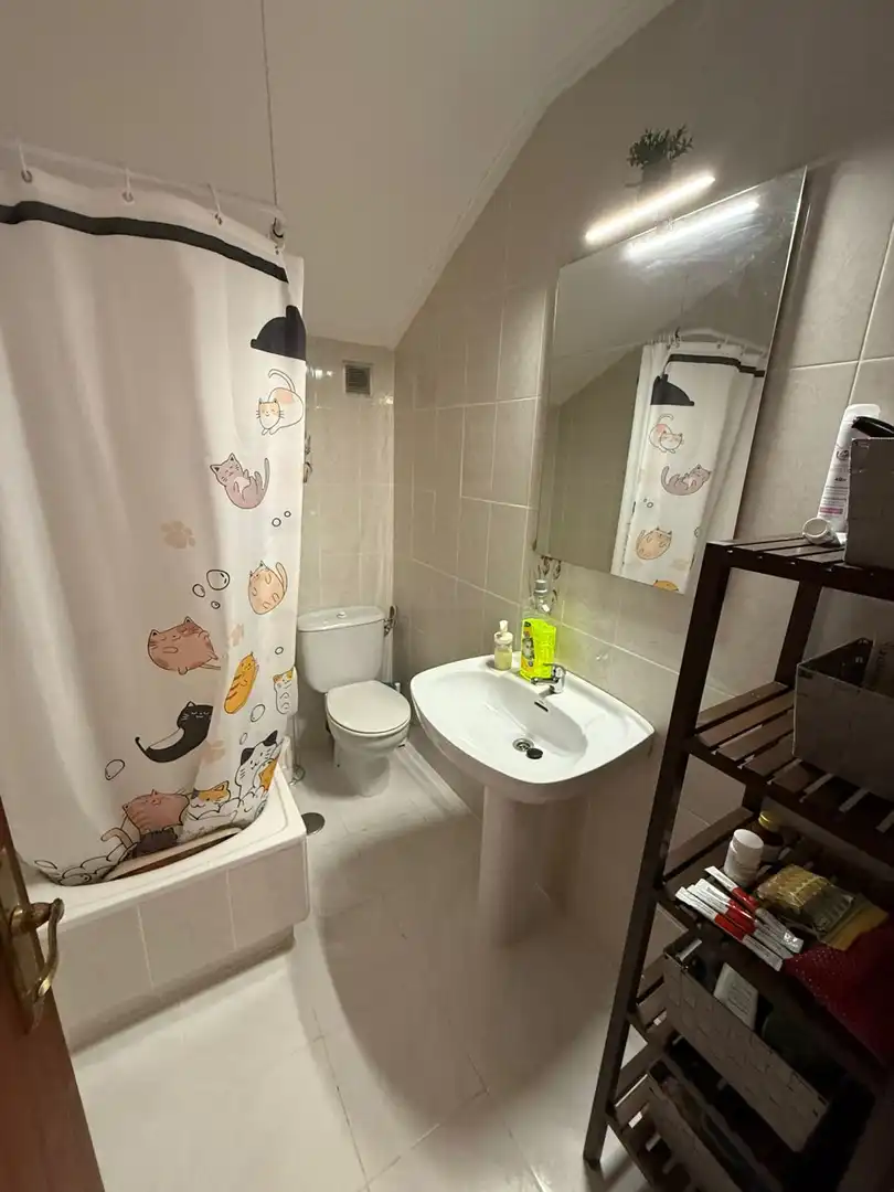 Ático con terraza en venta en Salceda, imagen 26