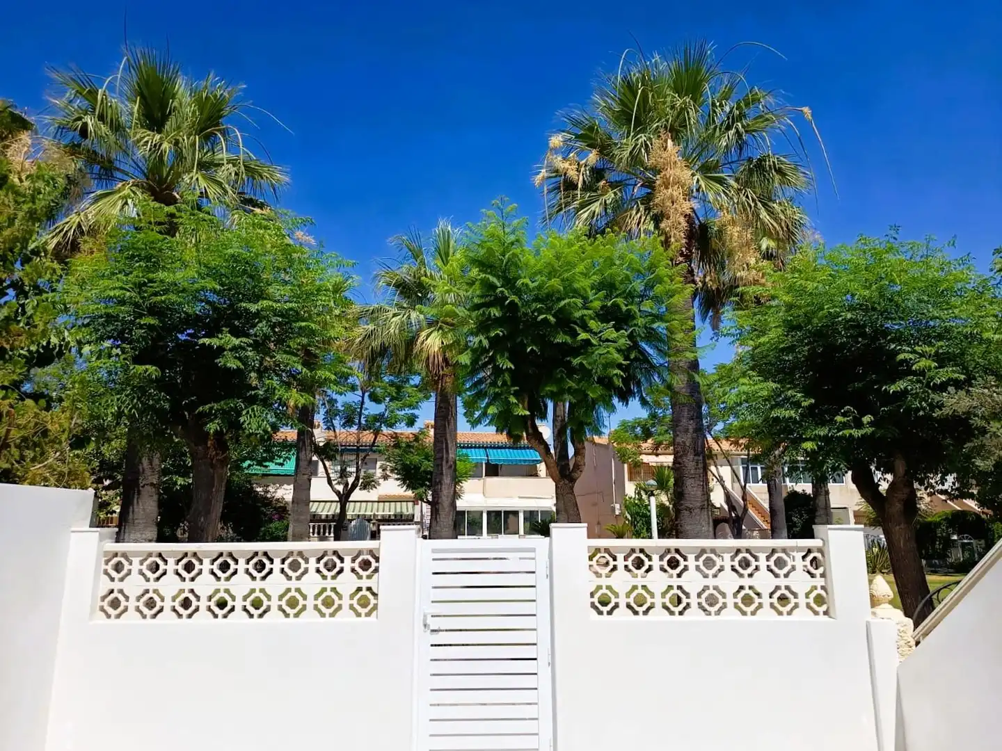 Vista exterior de Casa o chalet en venta en Orihuela con Aire acondicionado, Calefacción y Jardín privado