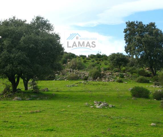 Terreno en Venta en N/A, -1 en Jaraíz de la Vera