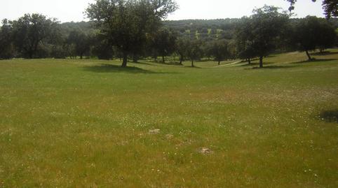 Photo 4 of Country house for sale in Nuño Gómez, Toledo