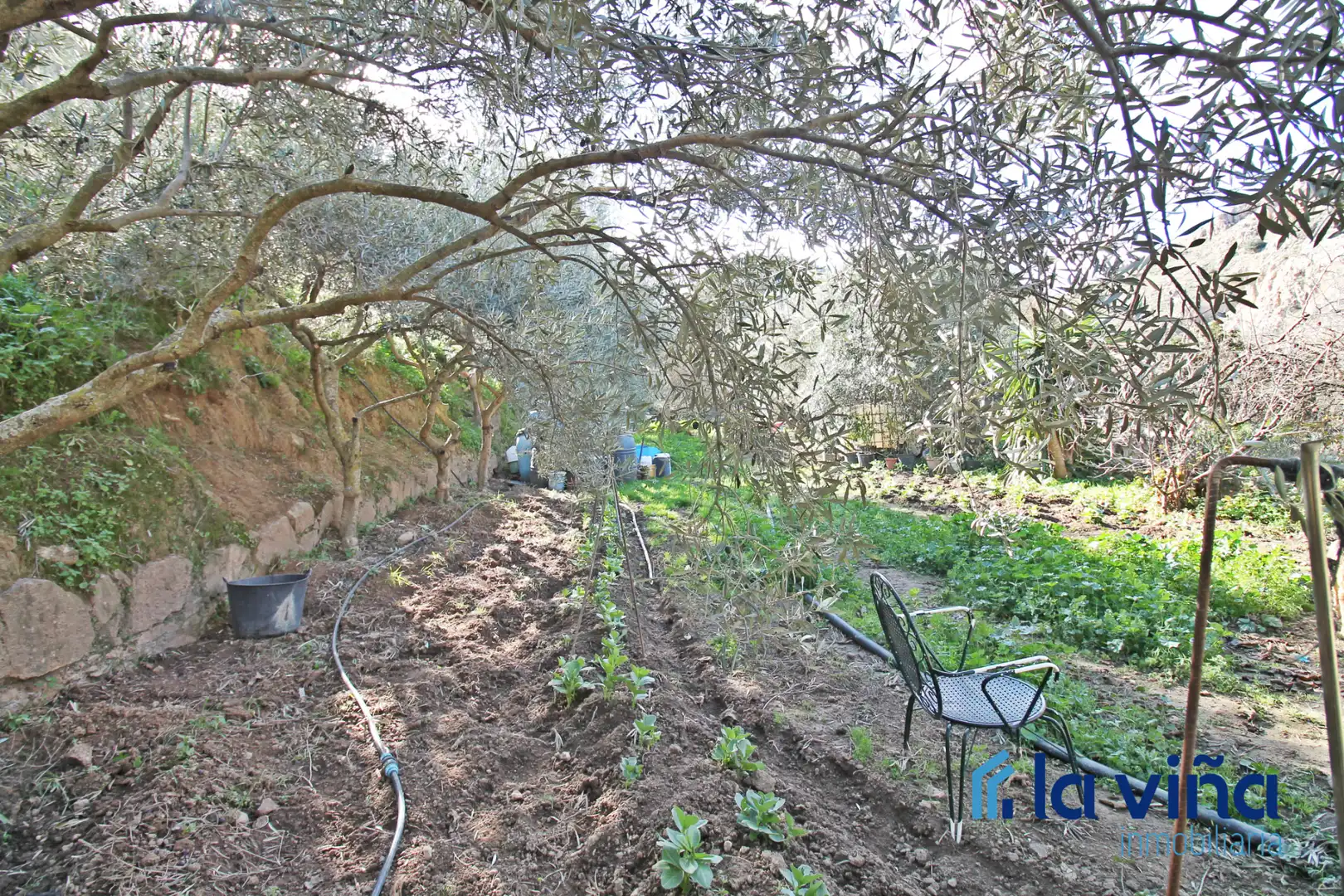 Jardín de Casa o chalet en venta en Nívar con Trastero y Amueblado