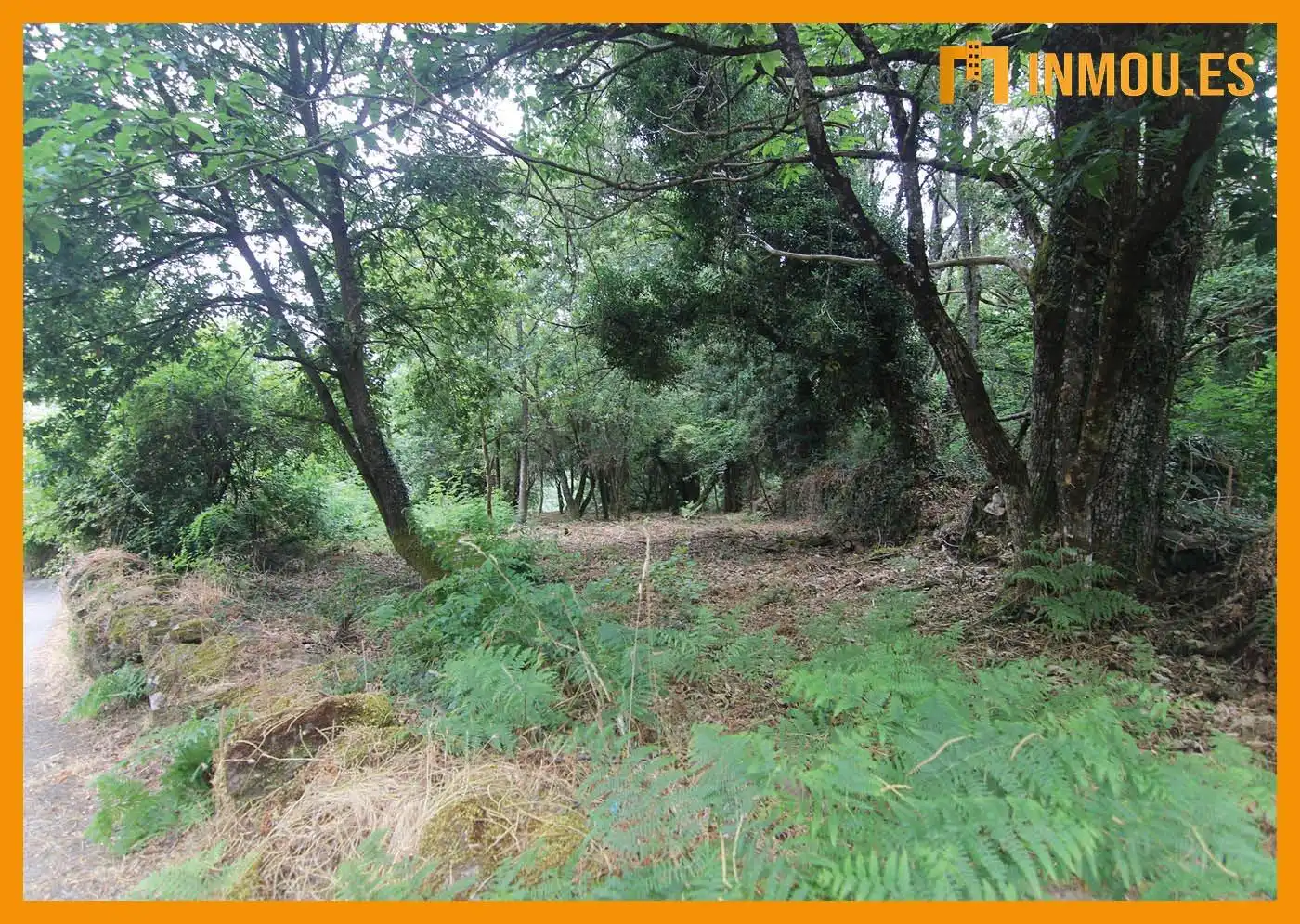 Finca rústica en venta en A Bola 