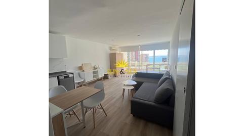 Photo 3 of Study to rent in Cabo de las Huertas, Alicante