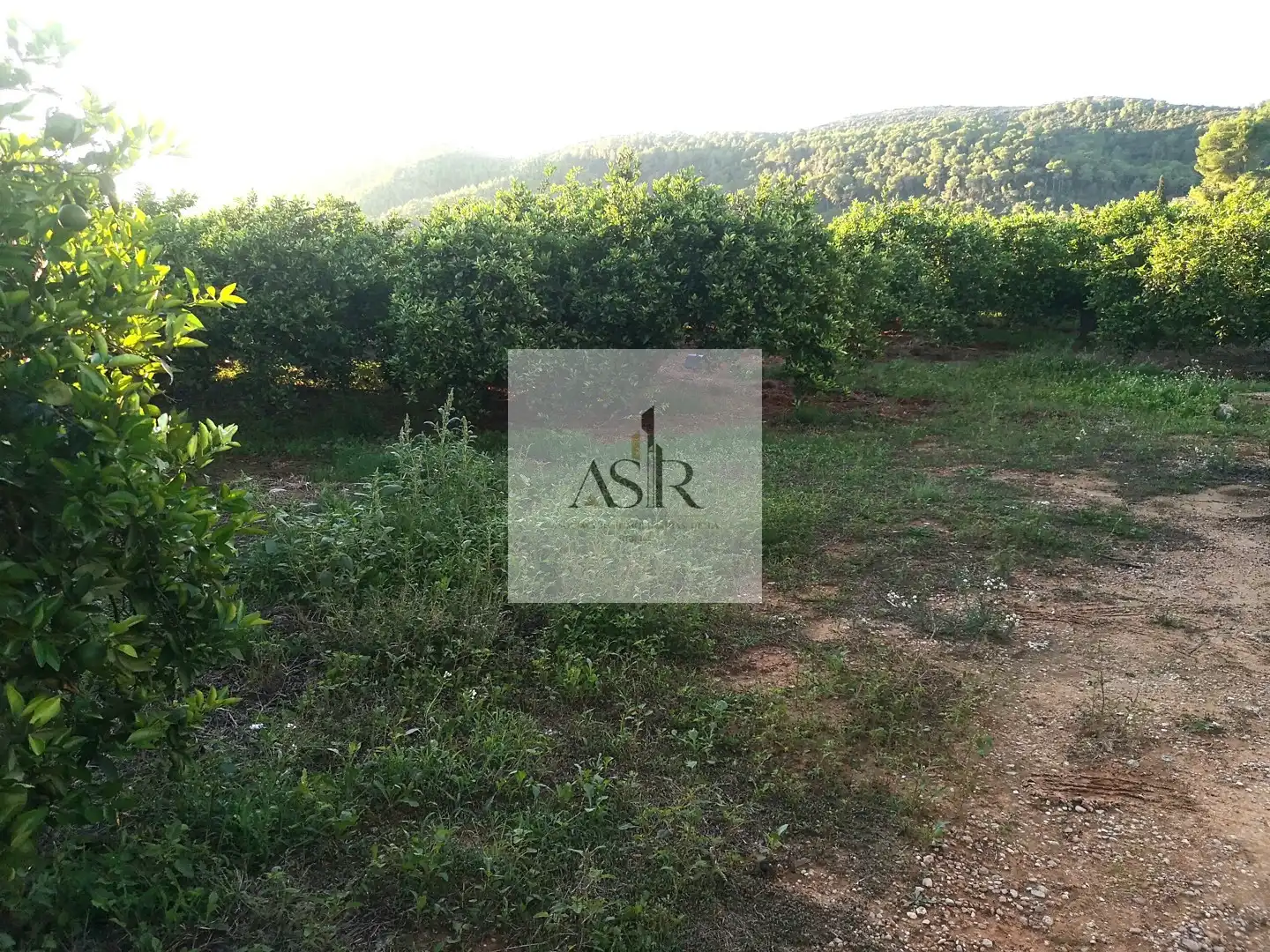 Residential for sale in Casc Urbà