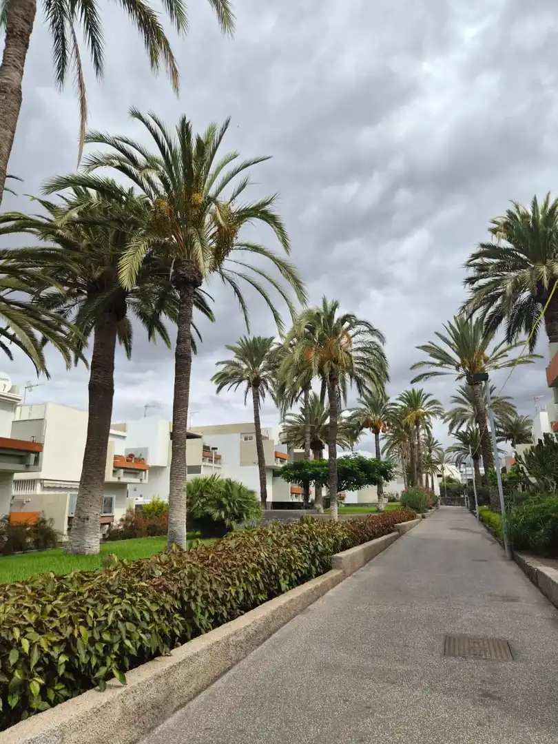 Apartament amb piscina en venda a Costa del Silencio, imagen 3