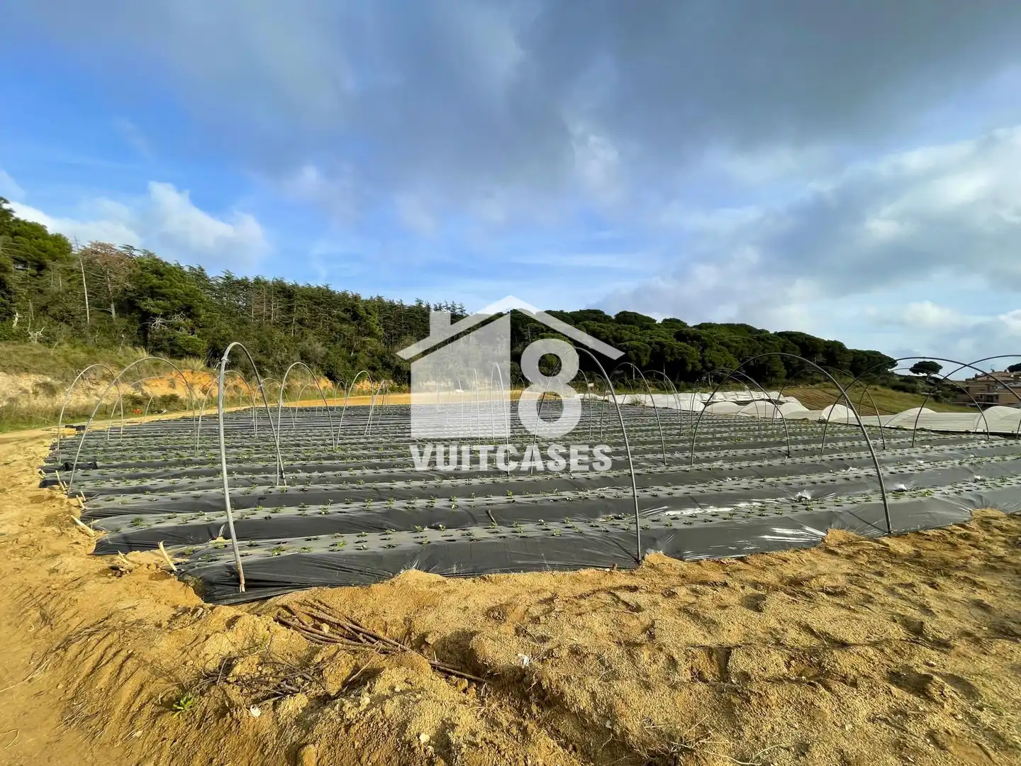 Finca rústica en venta en Canet de Mar