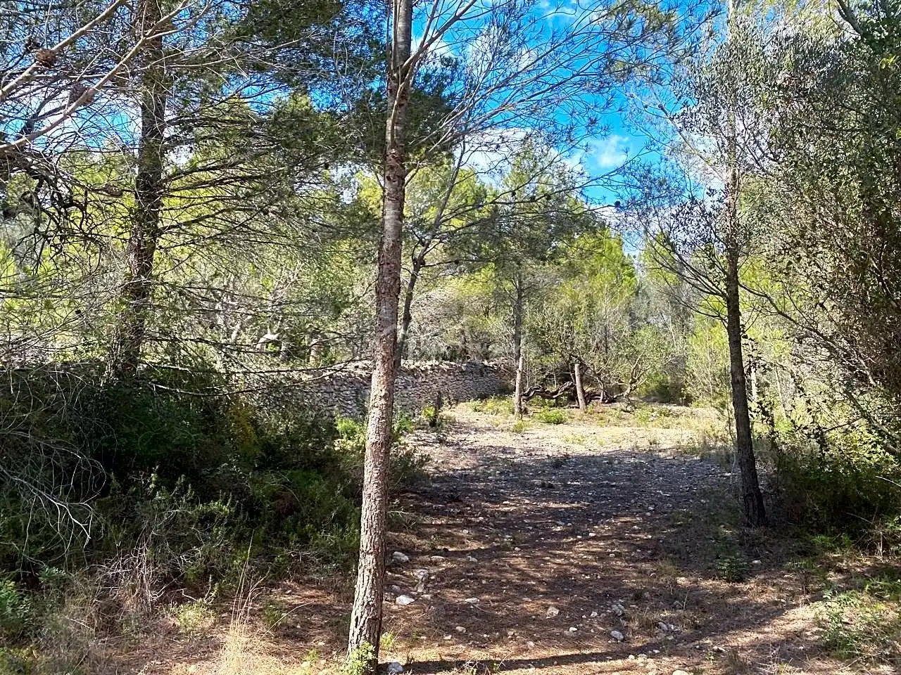 Terreno rustico in vendita a Ligallo de les Bordes, imagen 8