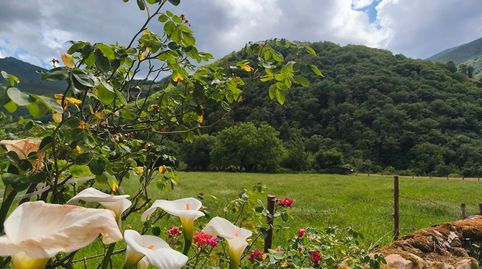 Foto 5 de Casa o chalet en venta en Lugar Boinas, 20a, Belmonte de Miranda, Asturias