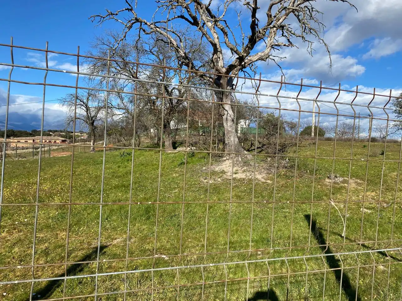 Terreni e lotti in vendita a Talayuela, imagen 2